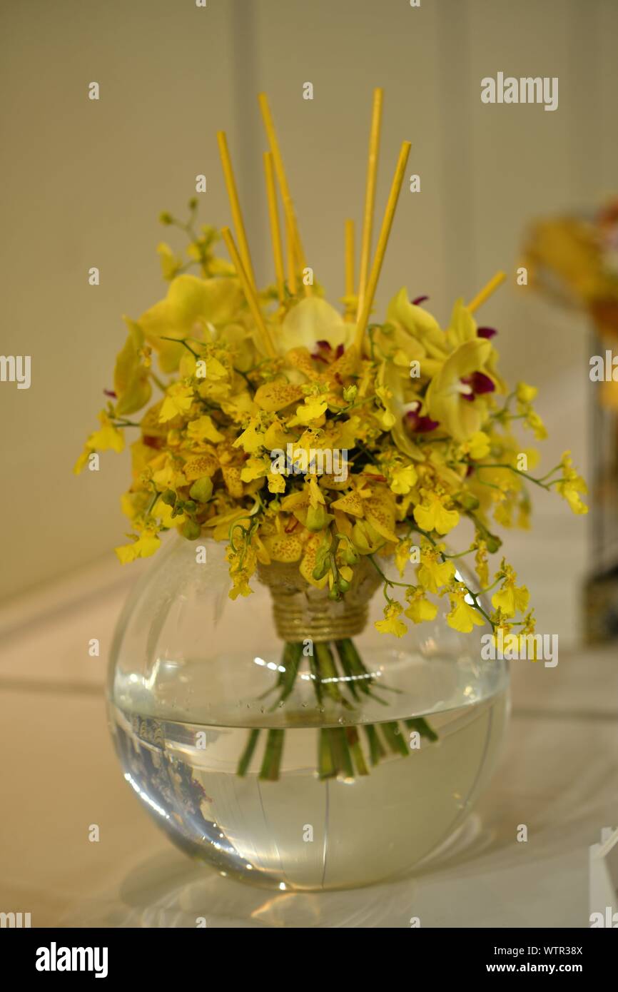 Orchid plant in glass vase hi-res stock photography and images - Alamy