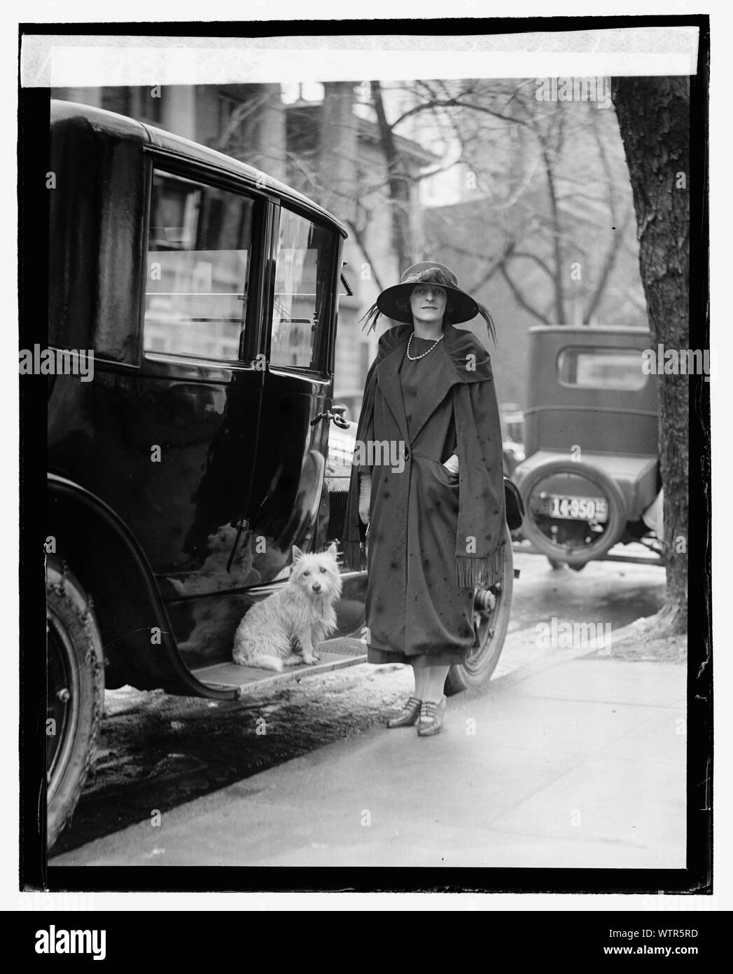 Grafton Cut Out Stock Images & Pictures Alamy