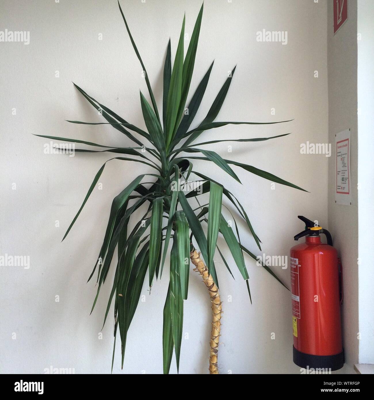 Which type of fire extinguisher for home Clearance