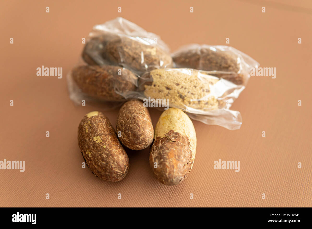 Nigerian Bitter Kola used as a stimulant Stock Photo Alamy
