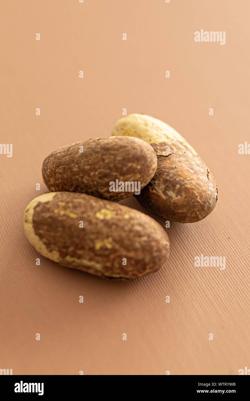 Nigerian Bitter Kola used as a stimulant Stock Photo Alamy