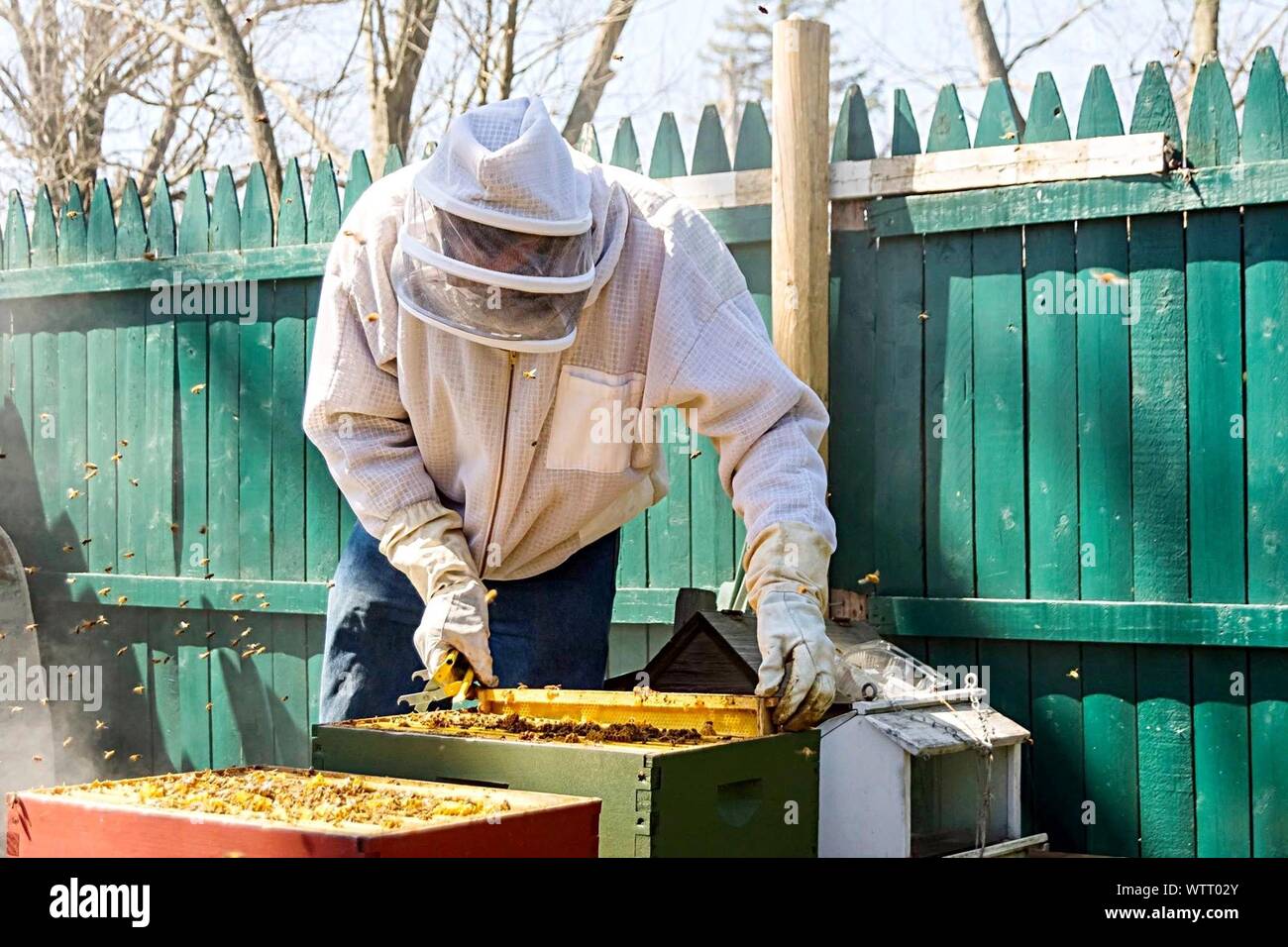 Beekeeper Wearing Protective Workwear At Work Stock Photo