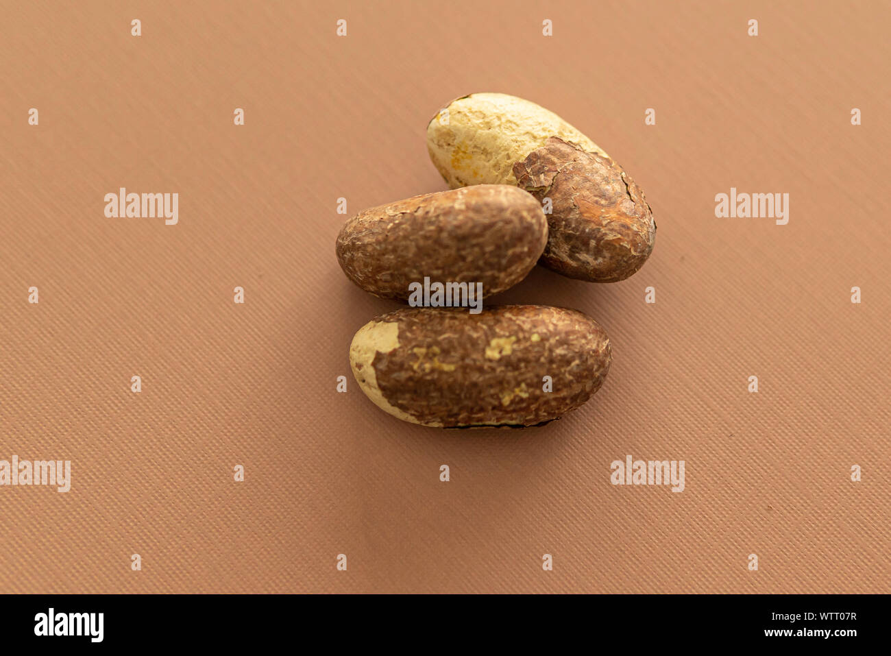 Nigerian Bitter Kola used as a stimulant Stock Photo Alamy