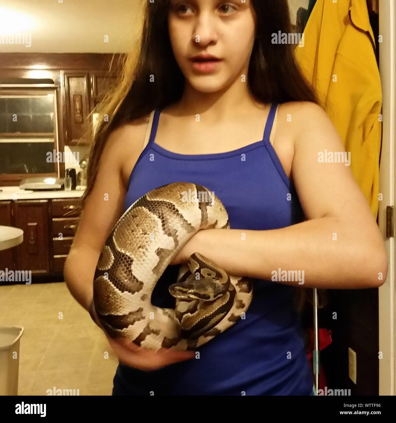 Animal themes holding childhood looking away hi-res stock photography ...