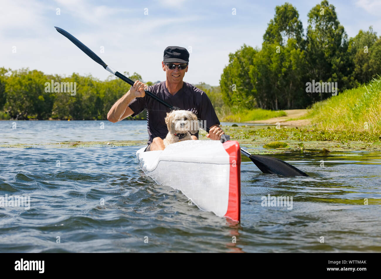 Man and his best friend paddling down the Ross River in Townsville on a ski. Stock Photo