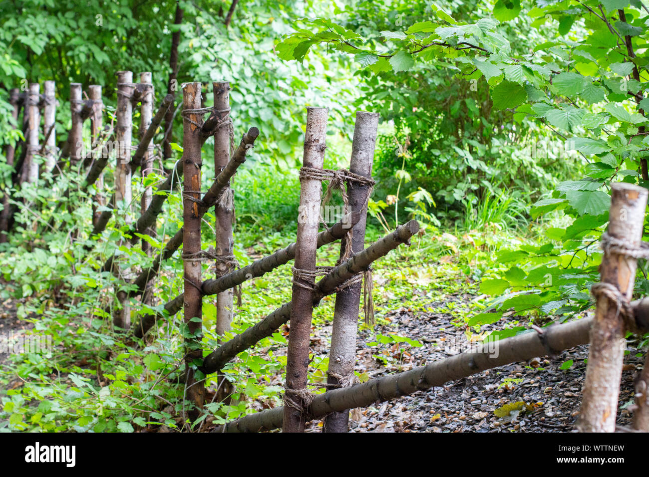 A rustic fence made of thin tree trunks fastened with a rope, a
