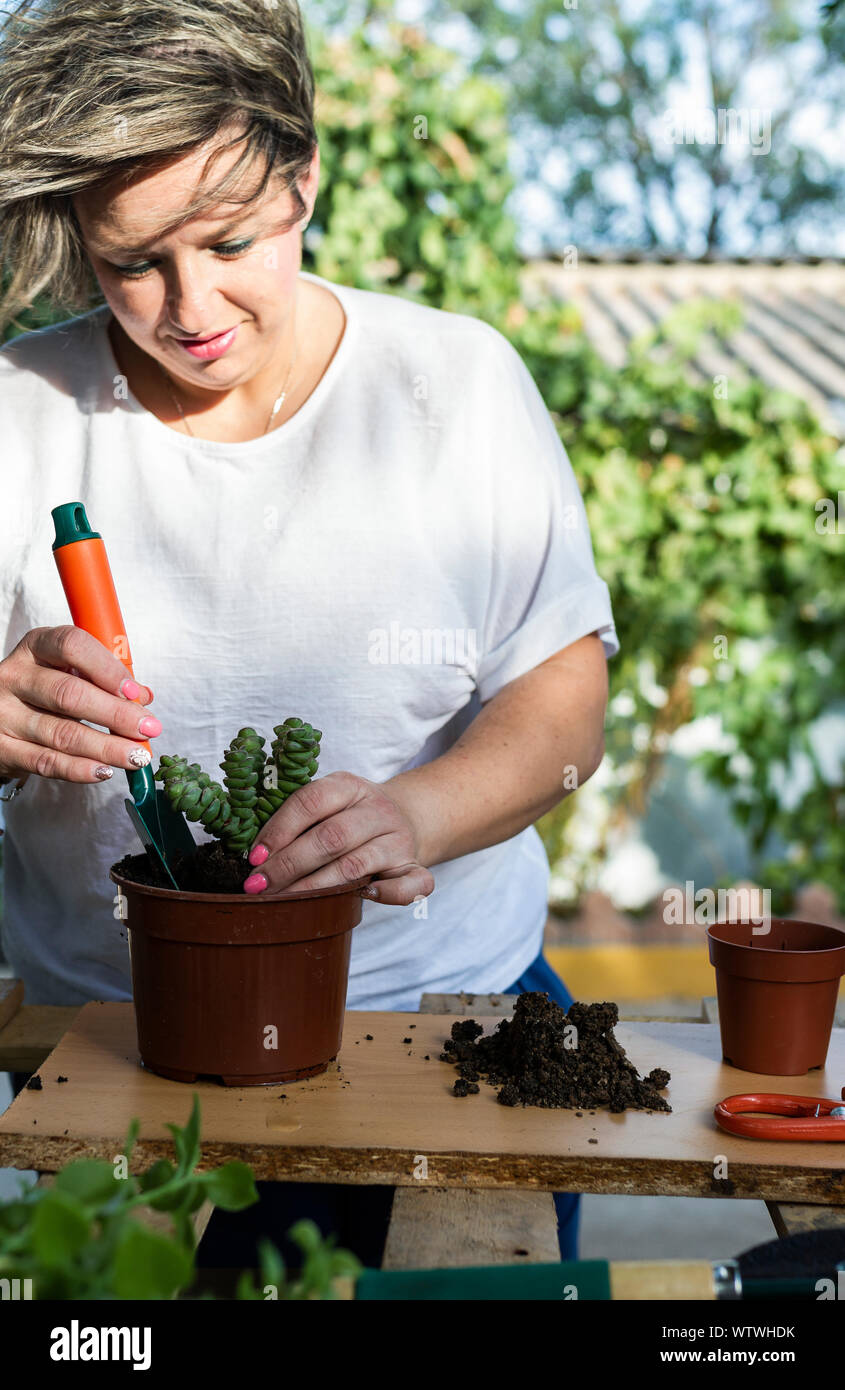 young woman working with land to transplant flowers and captus on a b Stock Photo