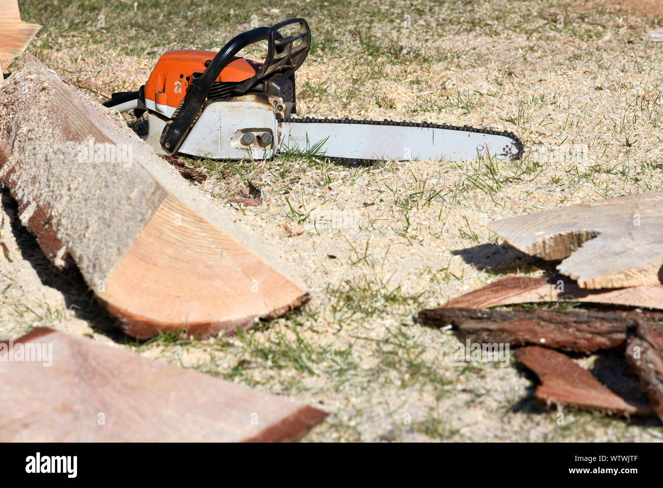Close up professional chainsaw blade cutting log of wood. Chainsaw bar and cutting chain. Blade
