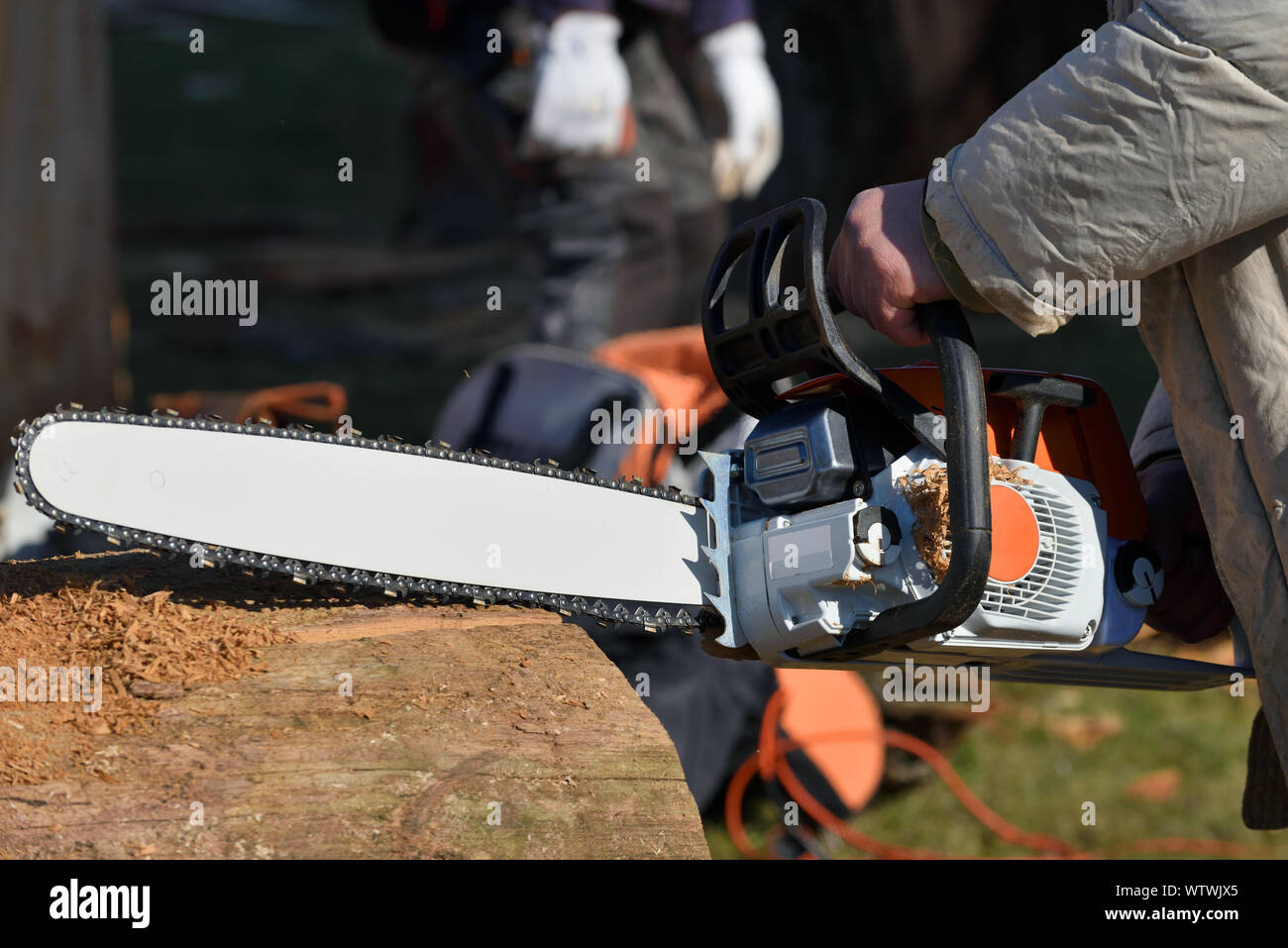 Close up professional chainsaw blade cutting log of wood. Chainsaw bar