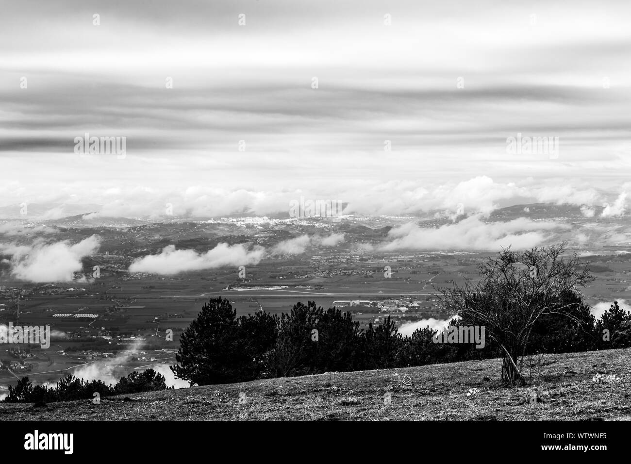 View from above of Umbria valley, with clouds above and below the viewer and trees in the foreground Stock Photo