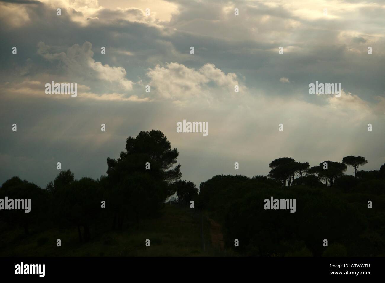 Trees nature natural scenery hi-res stock photography and images - Alamy