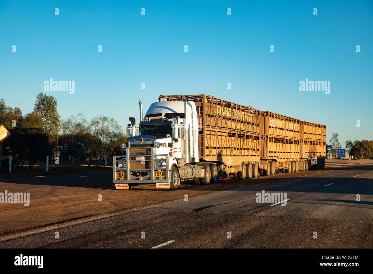 A road train in the Australian Outback loaded with cattle Stock Photo