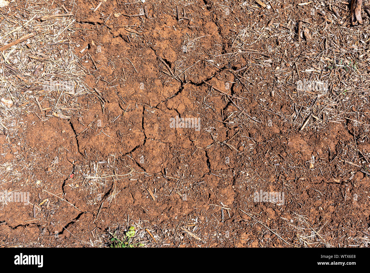 Infertile soil hires stock photography and images Alamy