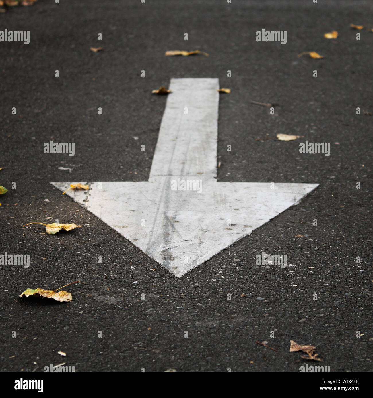 Road marking on the street. Road marking for pedestrians Stock Photo