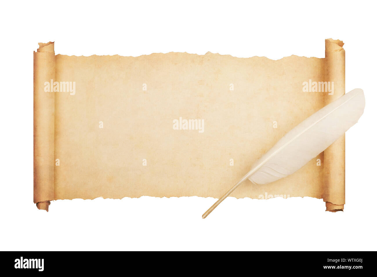 Vintage blank paper scroll isolated on white background with feather. Stock Photo