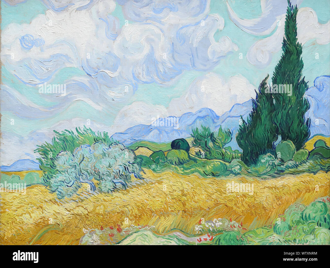 The Wheatfield with Cypresses by Dutch post-Impressionist painter Vincent van Gogh at the National Gallery, London, UK Stock Photo