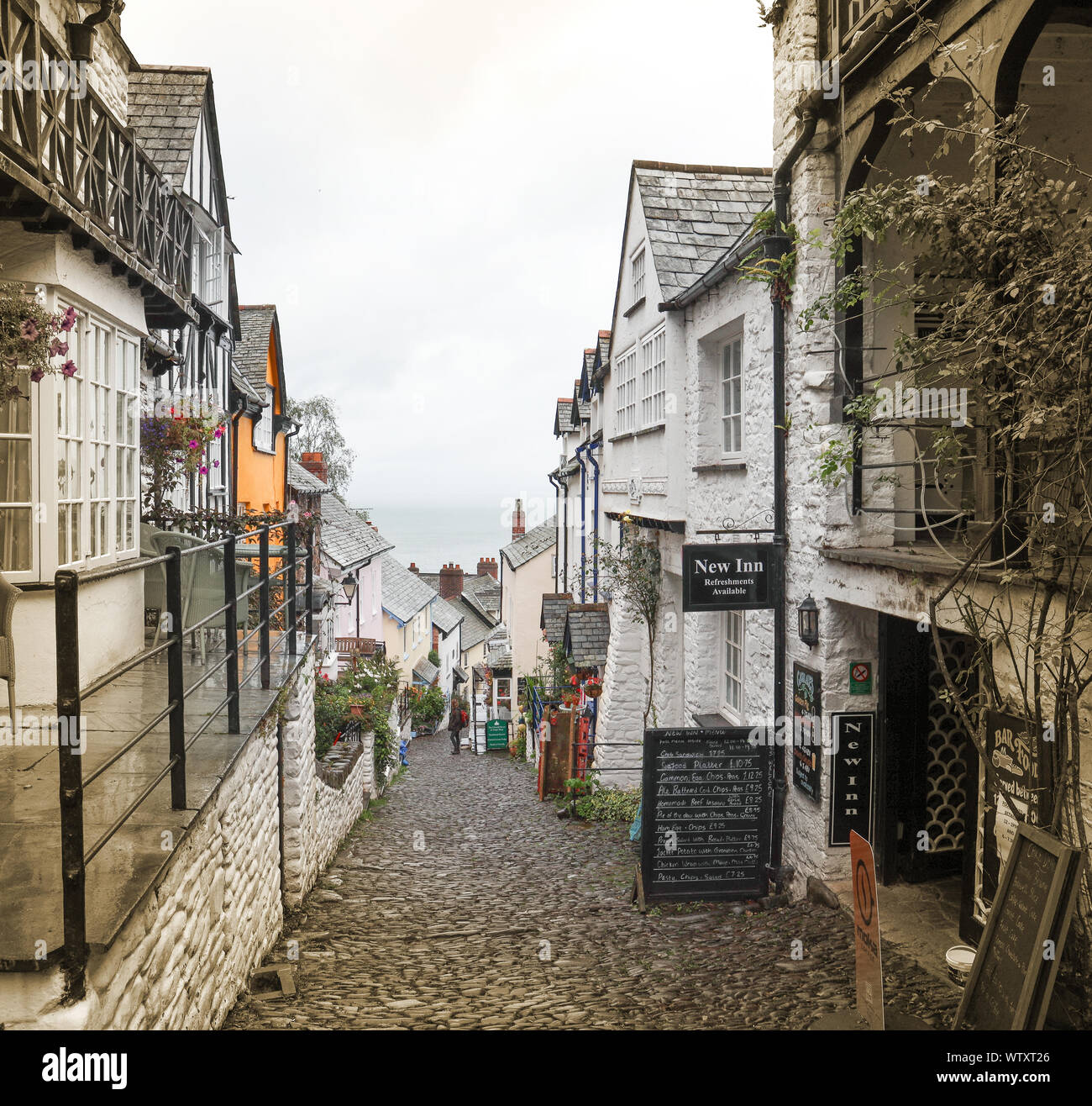 Clovelly, a small harbour and hillside village lost in time on the ...