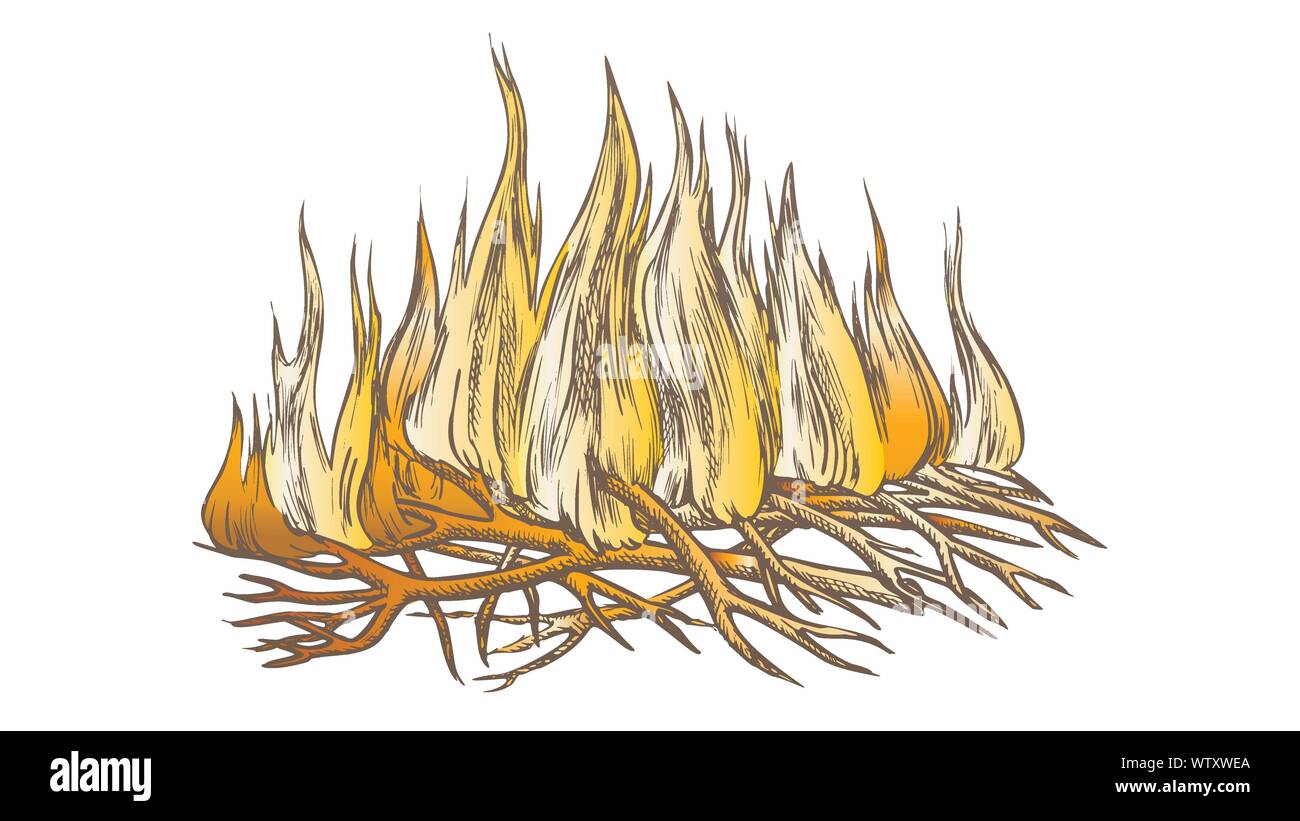 Traditional Burning Camping Fire Color Vector Stock Vector Image & Art ...