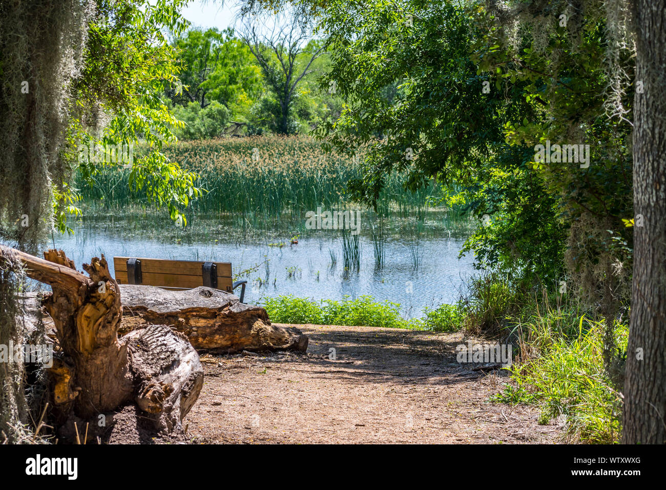 The Willow Lake in Santa Ana NWR, Texas Stock Photo