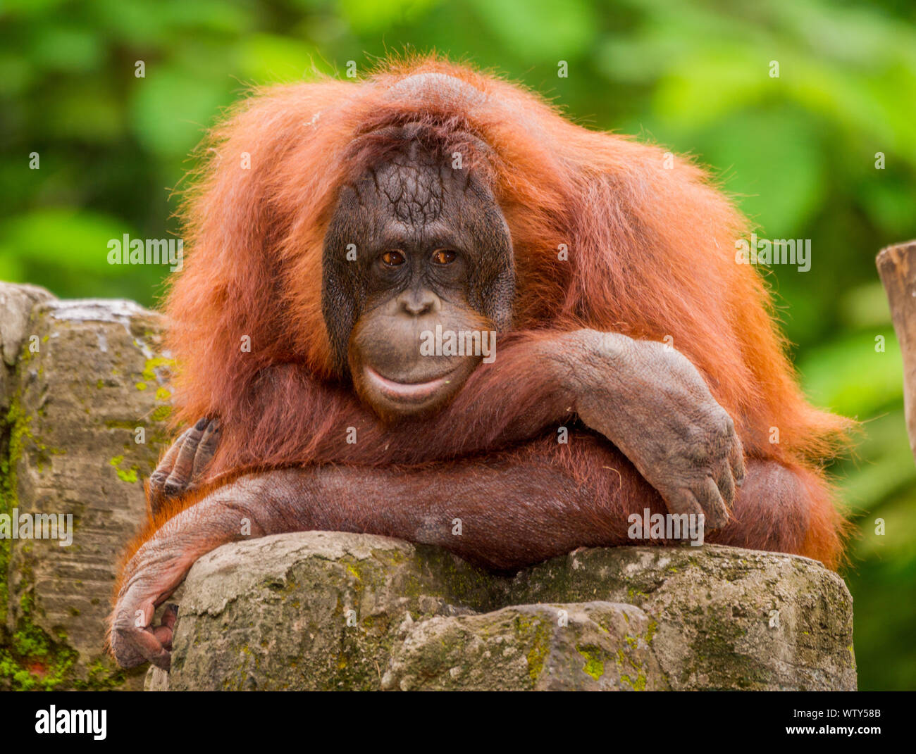 Yigit va tojik jinsiy aloqada