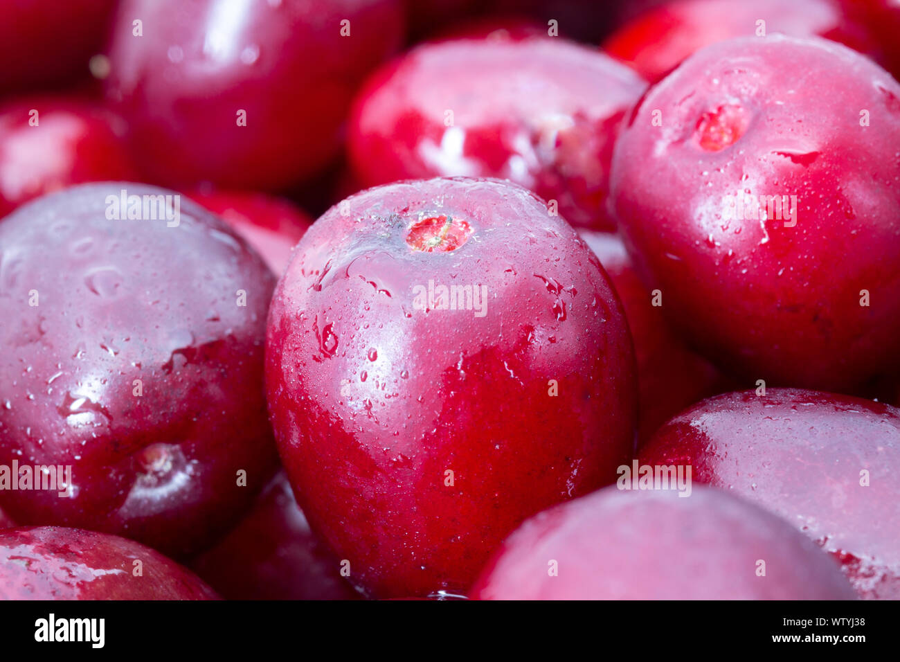 Cornus mas (Cornelian cherry) berries Stock Photo