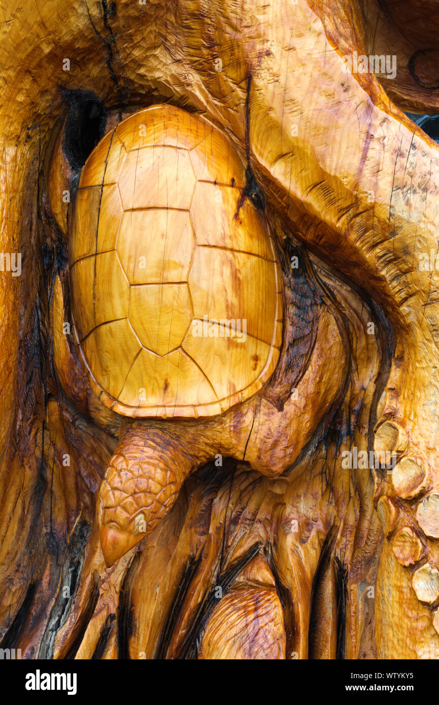 Bull island dublin nature hires stock photography and images Alamy