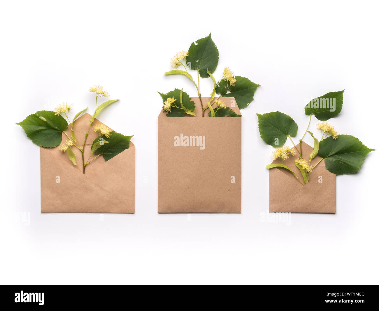 Herbs in craft paper envelopes on clean white background Stock Photo