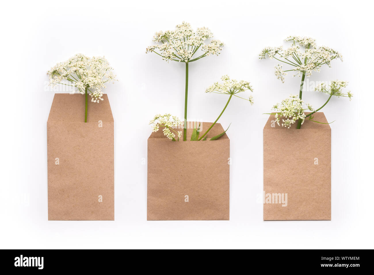 Herbs in craft paper envelopes on clean white background Stock Photo