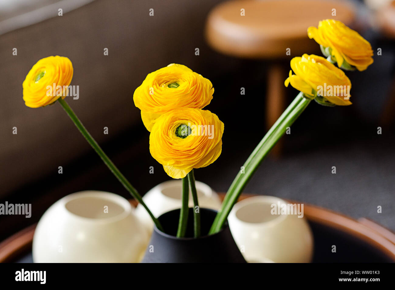 Bouquet of Persian buttercups (Ranunculus asiaticus) in a black vase. yellow flowers in the interior. close up. Floral composition, scene, daylight. Stock Photo