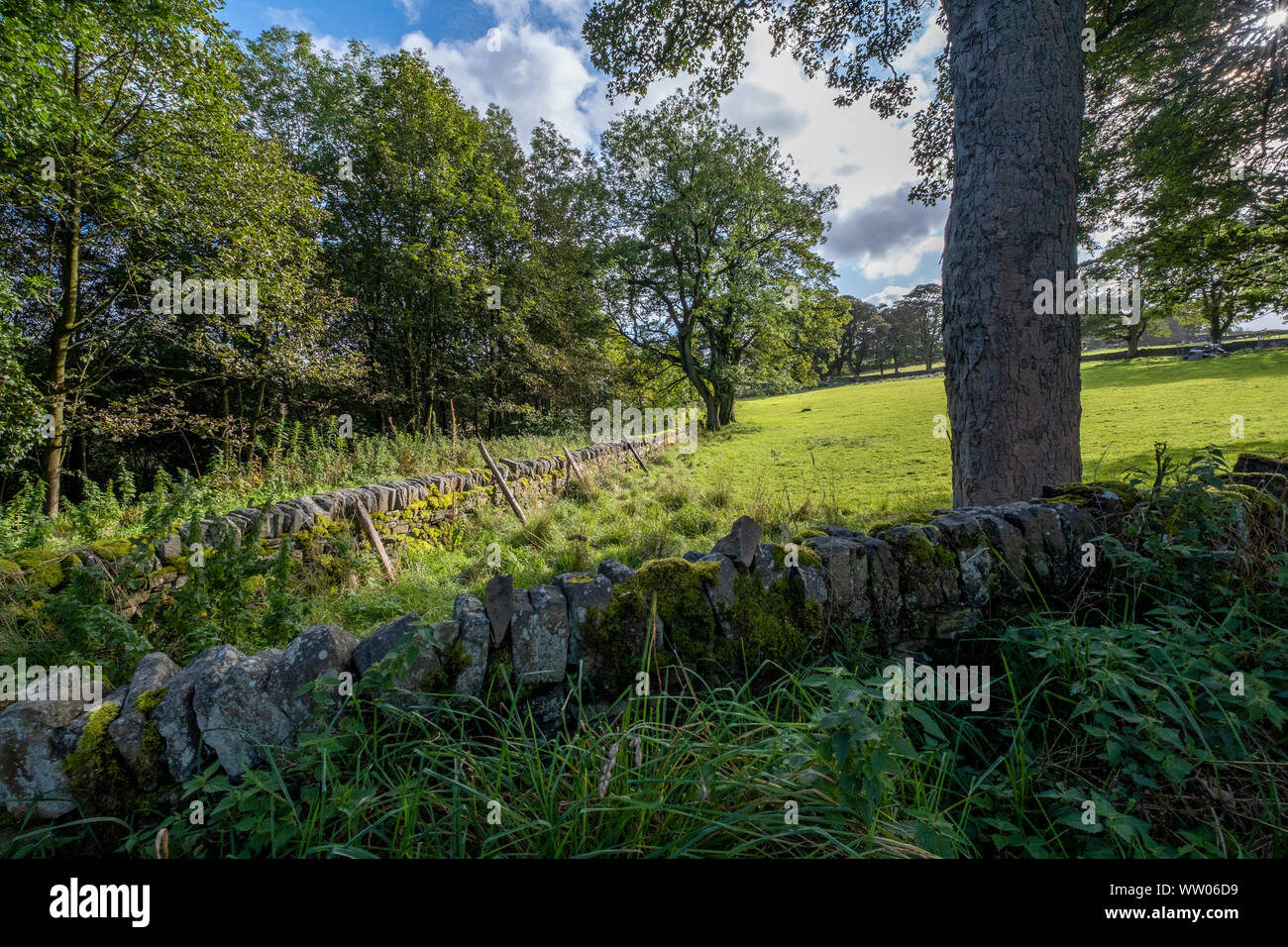 Dry stone wall and field near Haworth in West Yorkshire, England, ideal rambling and walking in the Bronté countryside Stock Photo