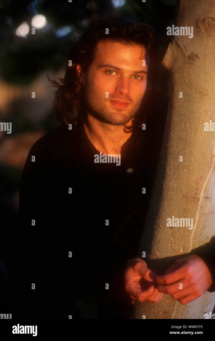 Los Angeles, California, USA 5th December 1994 (Exclusive) Actor David