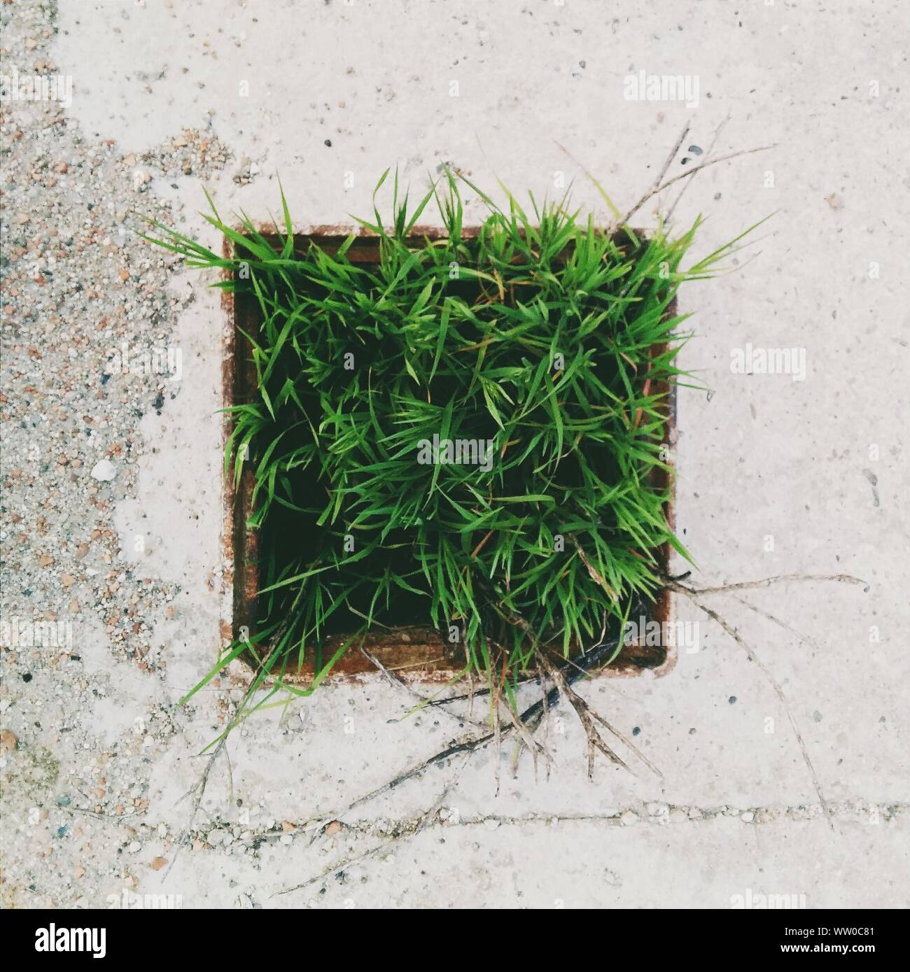 Open sewer hires stock photography and images Alamy