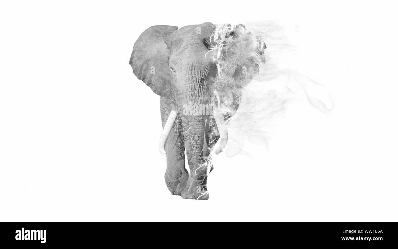 Digital Composite Image Of Elephant On Fire Against White Background Stock Photo