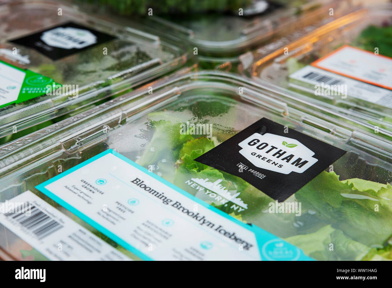 Packed vegetables from Gotham Greens, Brooklyn, New York, USA