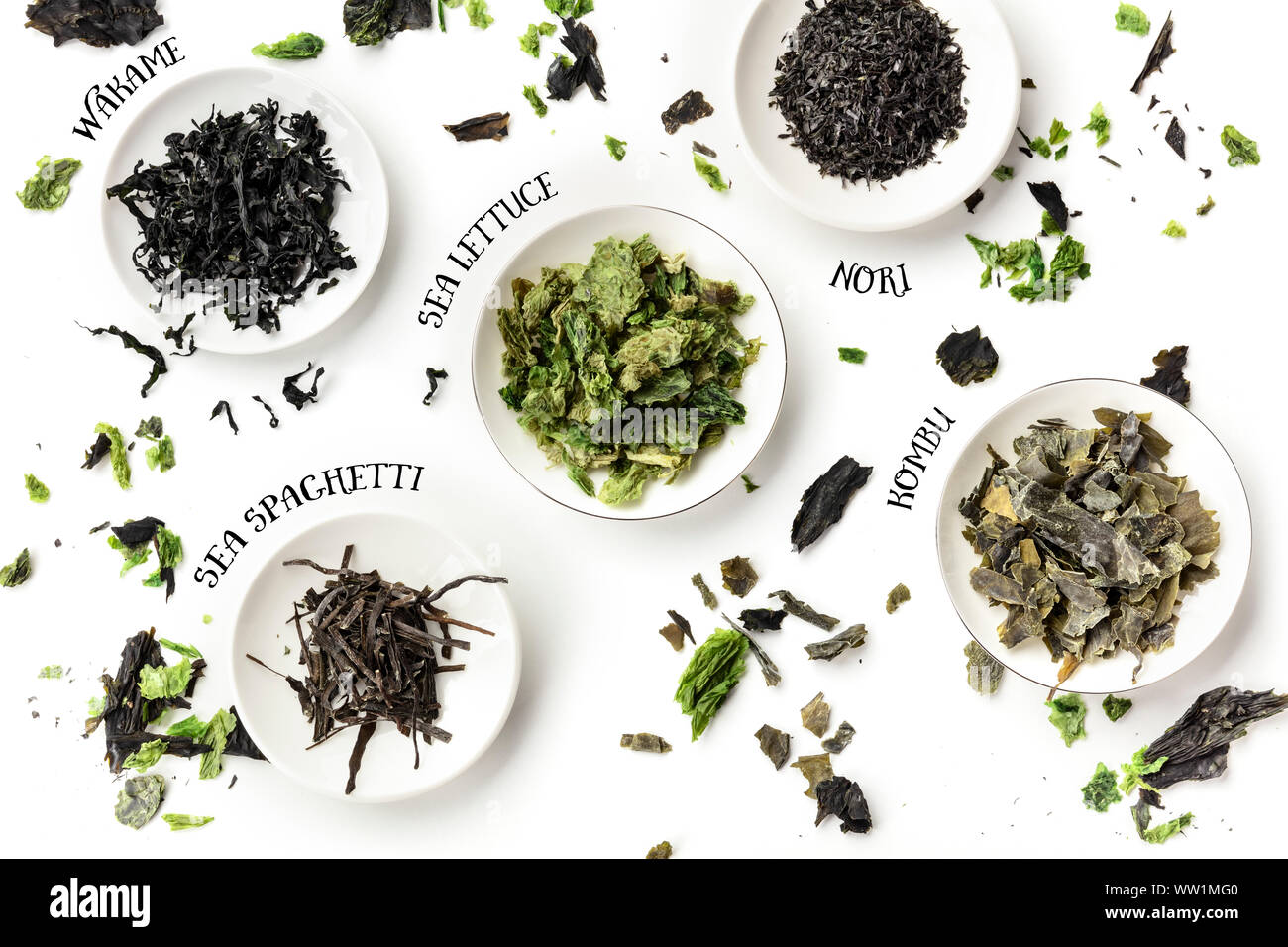 Dry seaweed, sea vegetables, with their names, shot from above on a white background Stock Photo