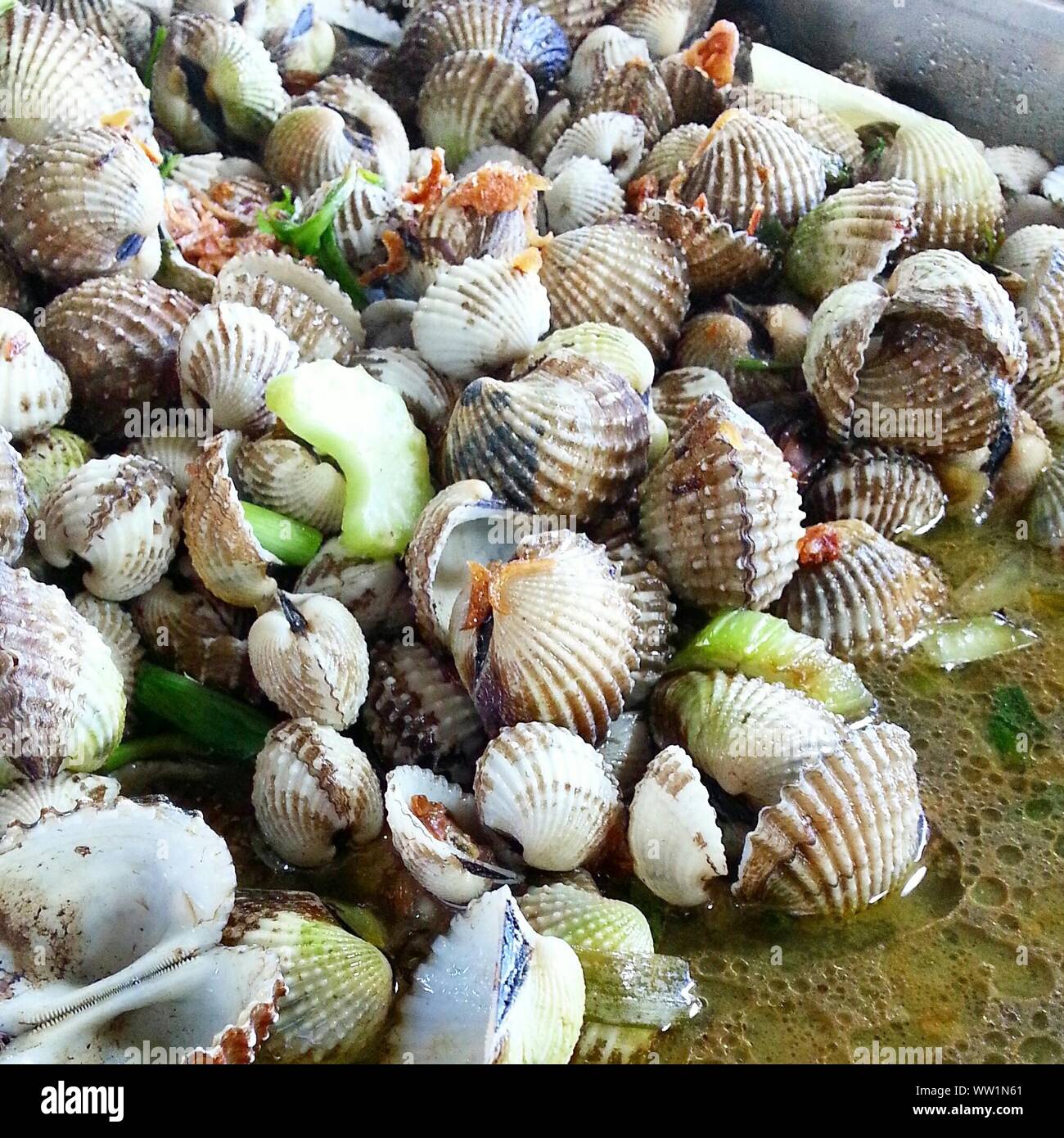 Group Of Clams High Resolution Stock Photography and Images Alamy