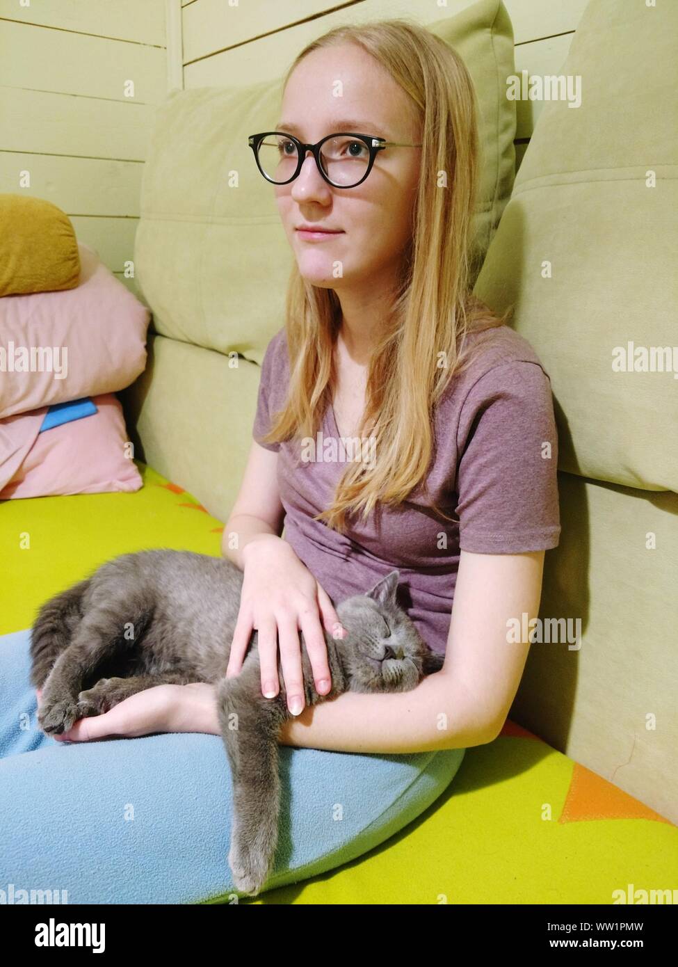 Cat sitting on furniture hires stock photography and images Alamy