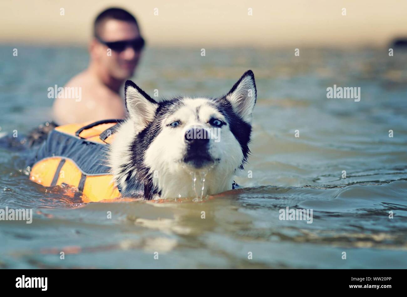 Wearing husky jacket hires stock photography and images Alamy