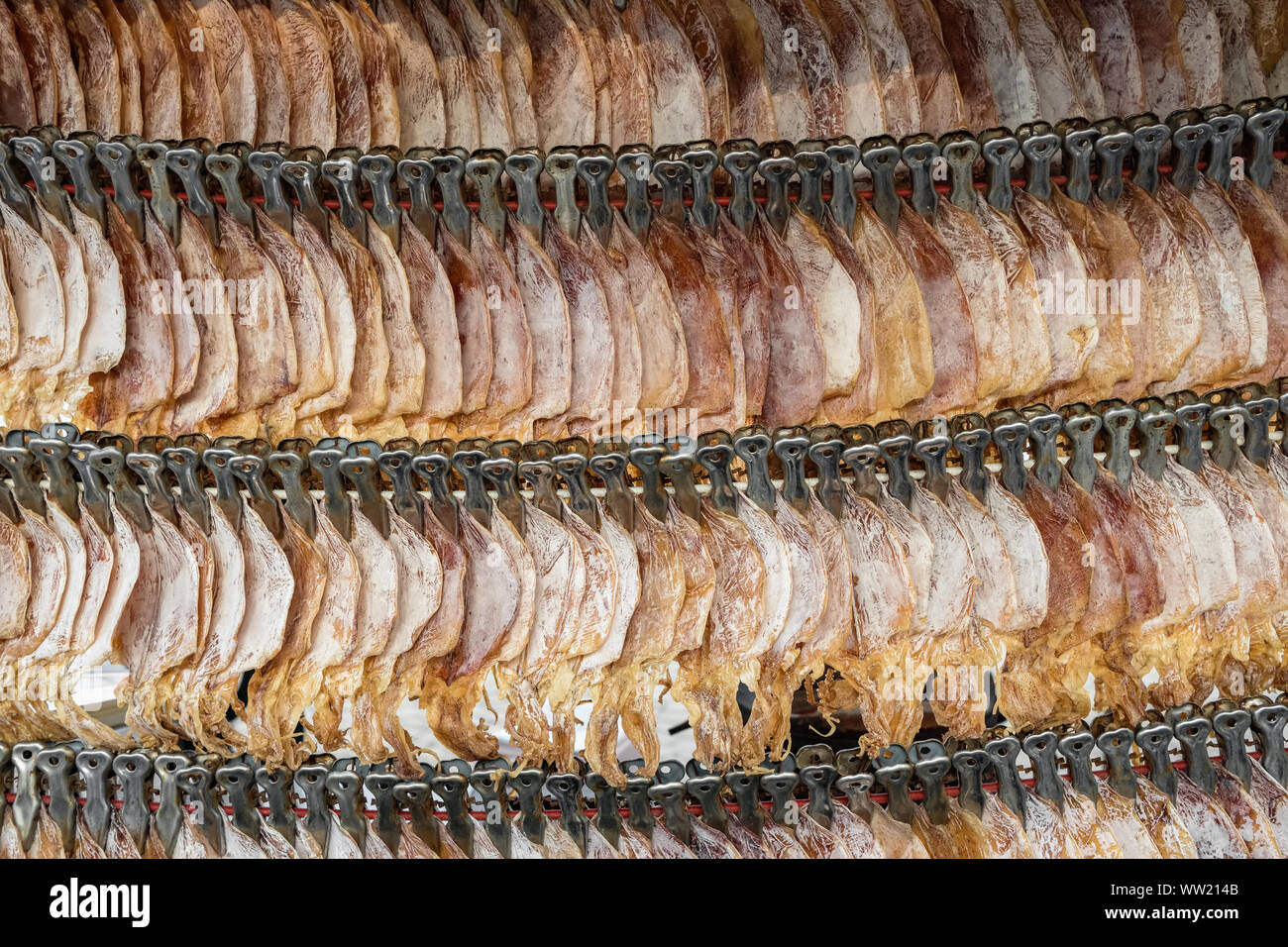 Dried squid, traditional thai drying squids close-up at market stall in Thailand. Seafood background Stock Photo