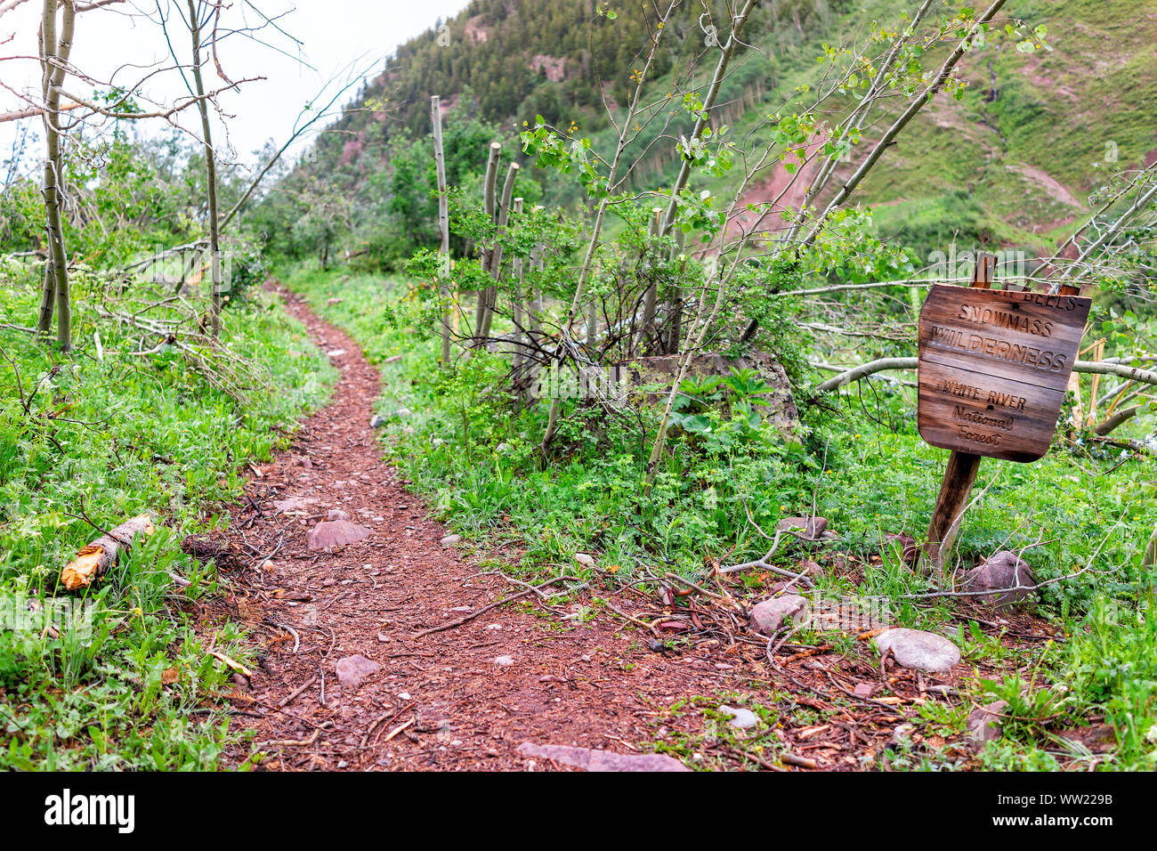 Avalanche damage broken sign on path road on Conundrum Creek Trail in