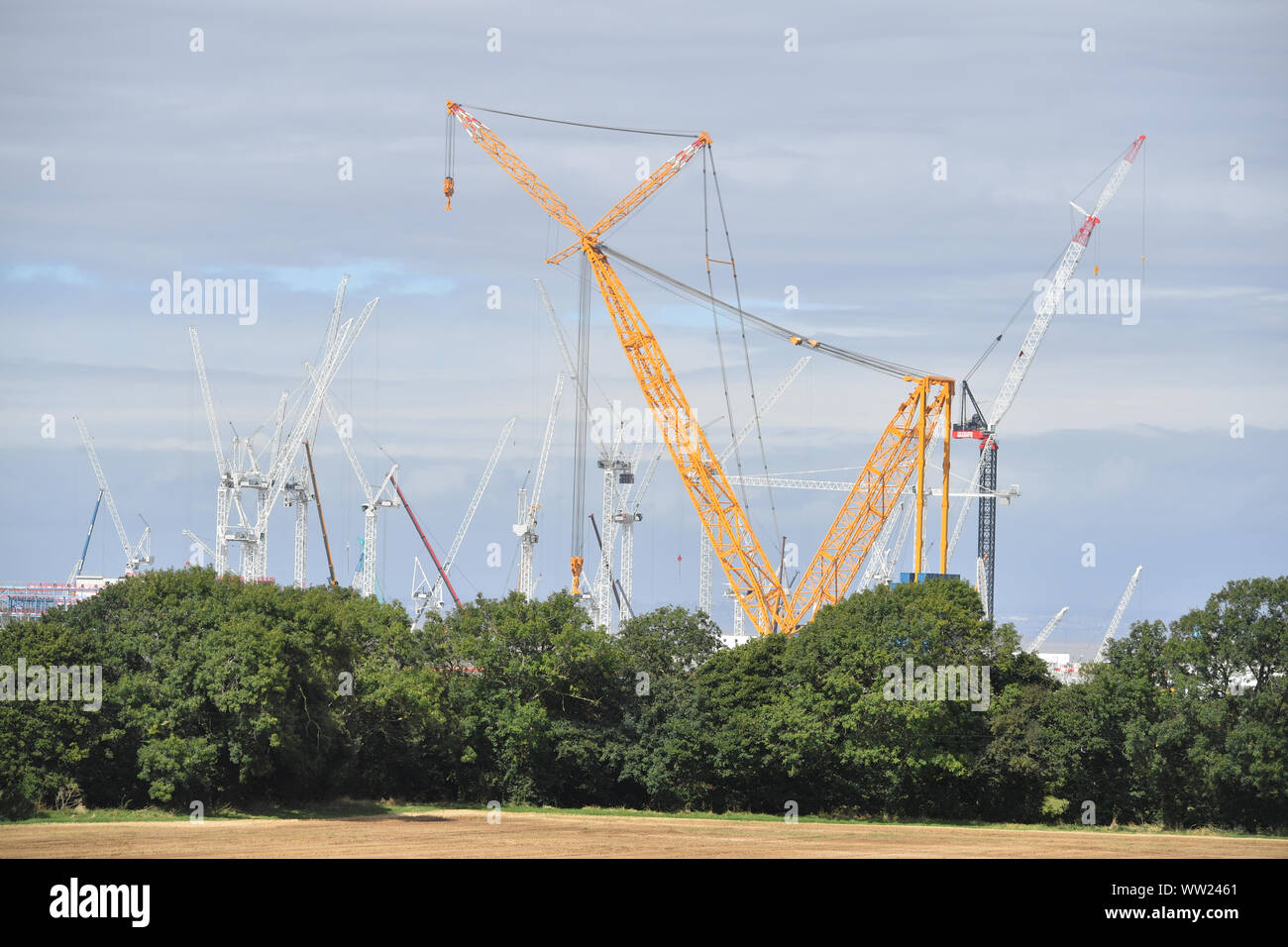 Work continues on the nuclear island at Hinkley Point C power station where 'Big Carl', the world's largest crane is ready to start work at the site in Somerset. Able to stand up to 250m tall, the Sarens SCC-250 crane can reach higher than the tallest tower at London's Canary Wharf and can carry 5,000 tonnes in a single lift. Stock Photo