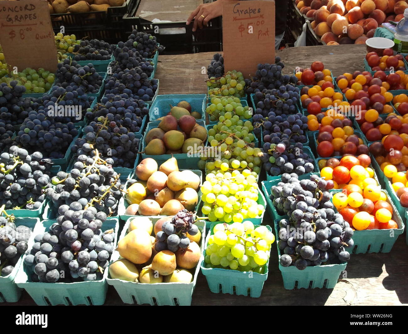 Healthy Living And Nutrition Choices Stock Photo