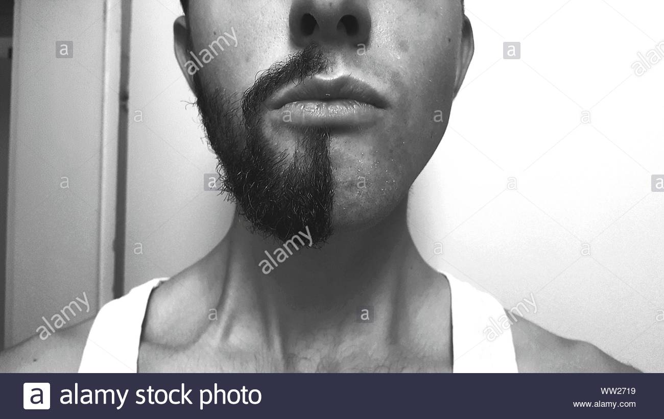 Half Shaved Hair And Beard Stock Photos Half Shaved Hair And