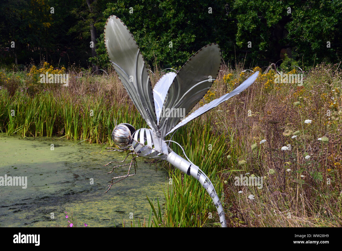 Sliver Metal Dragonfly Sculpture Flying over the Queen Mother's Lake at RHS Garden Harlow Carr, Harrogate, Yorkshire. England, UK Stock Photo