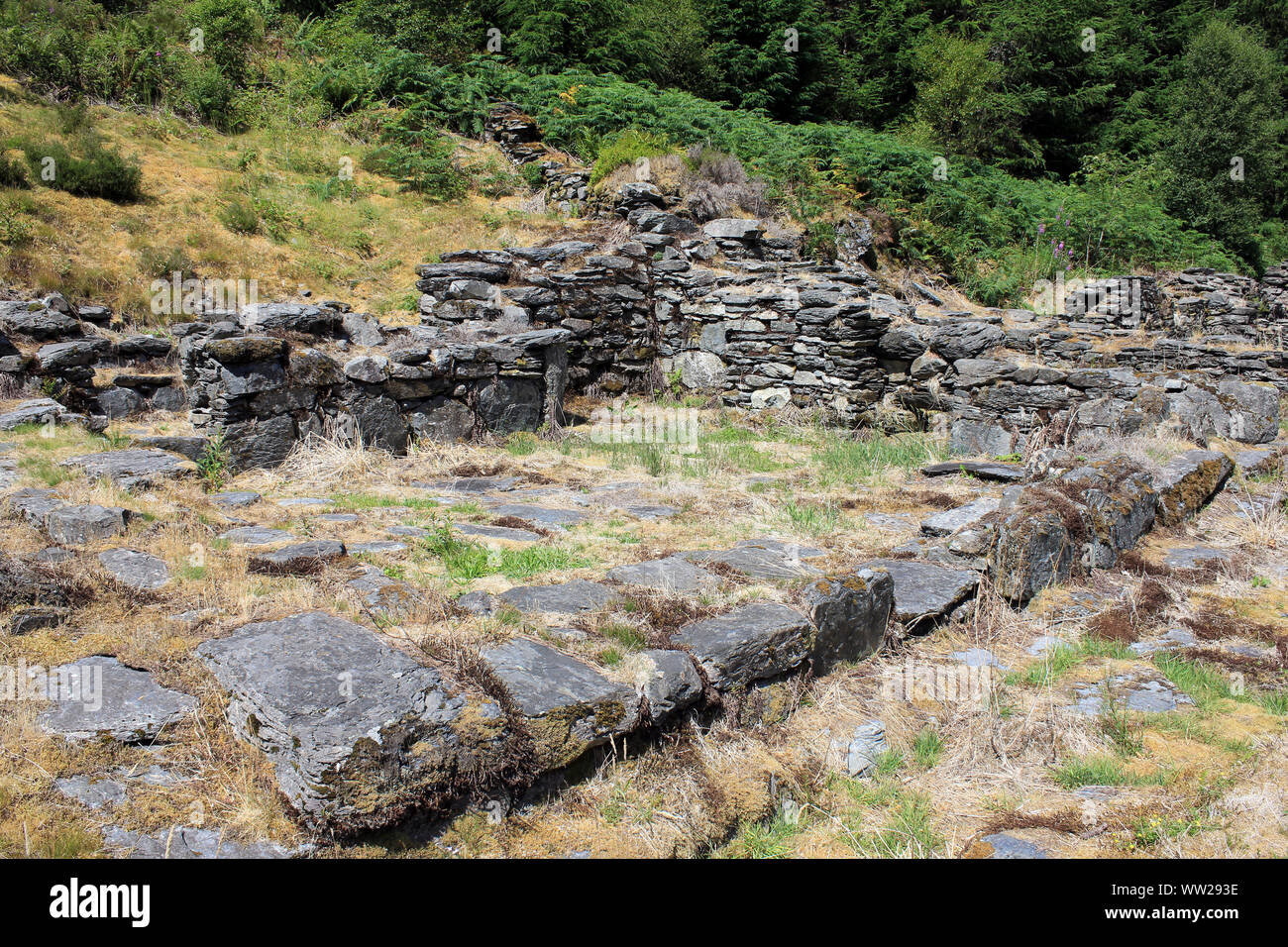 Ruins of Tai Penamnen, built by the powerful Welsh nobleman, Maredudd ab Ieuan, as his family home Stock Photo