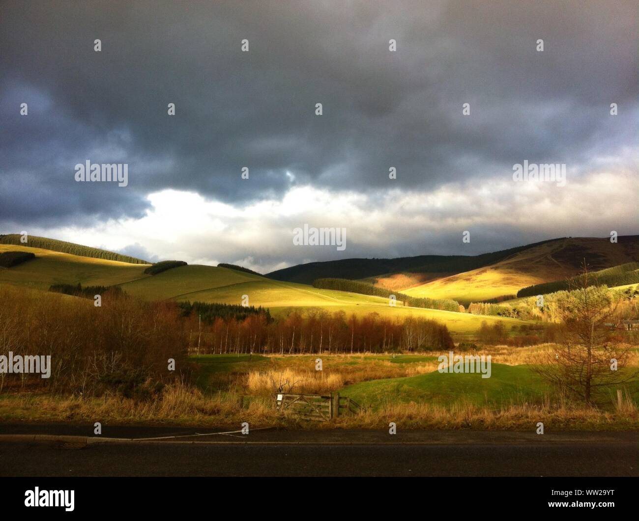 Rolling hills road and tree hi-res stock photography and images - Alamy