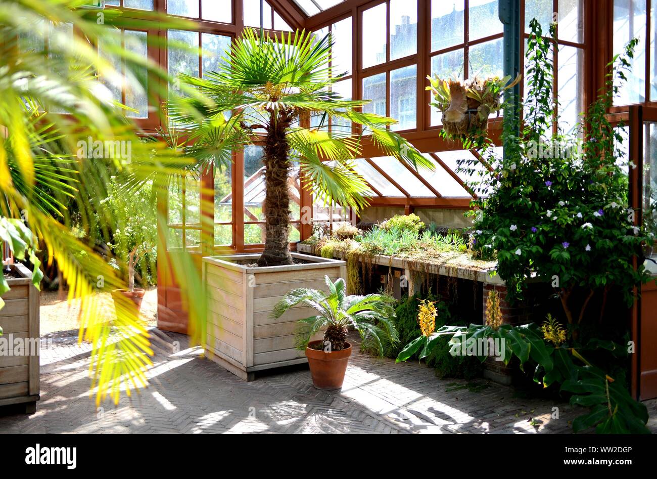 Tree planting with buildings hires stock photography and images Alamy