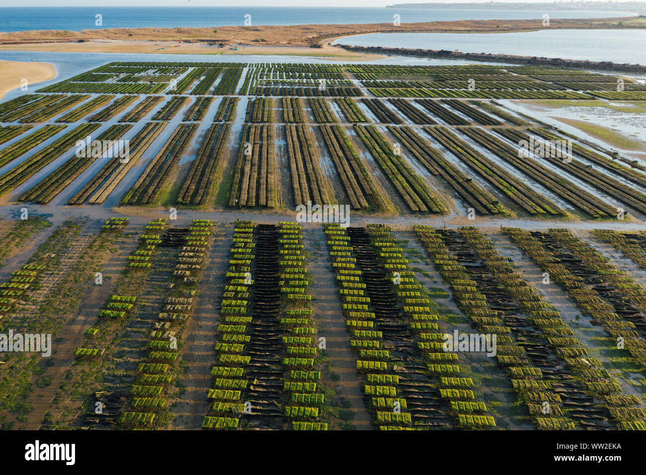 Aerial view of oyster bay hires stock photography and images Alamy