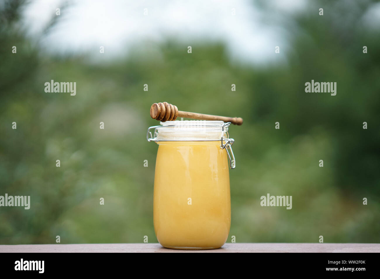 Honey jars with almonds and honey grid in nature Stock Photo Alamy