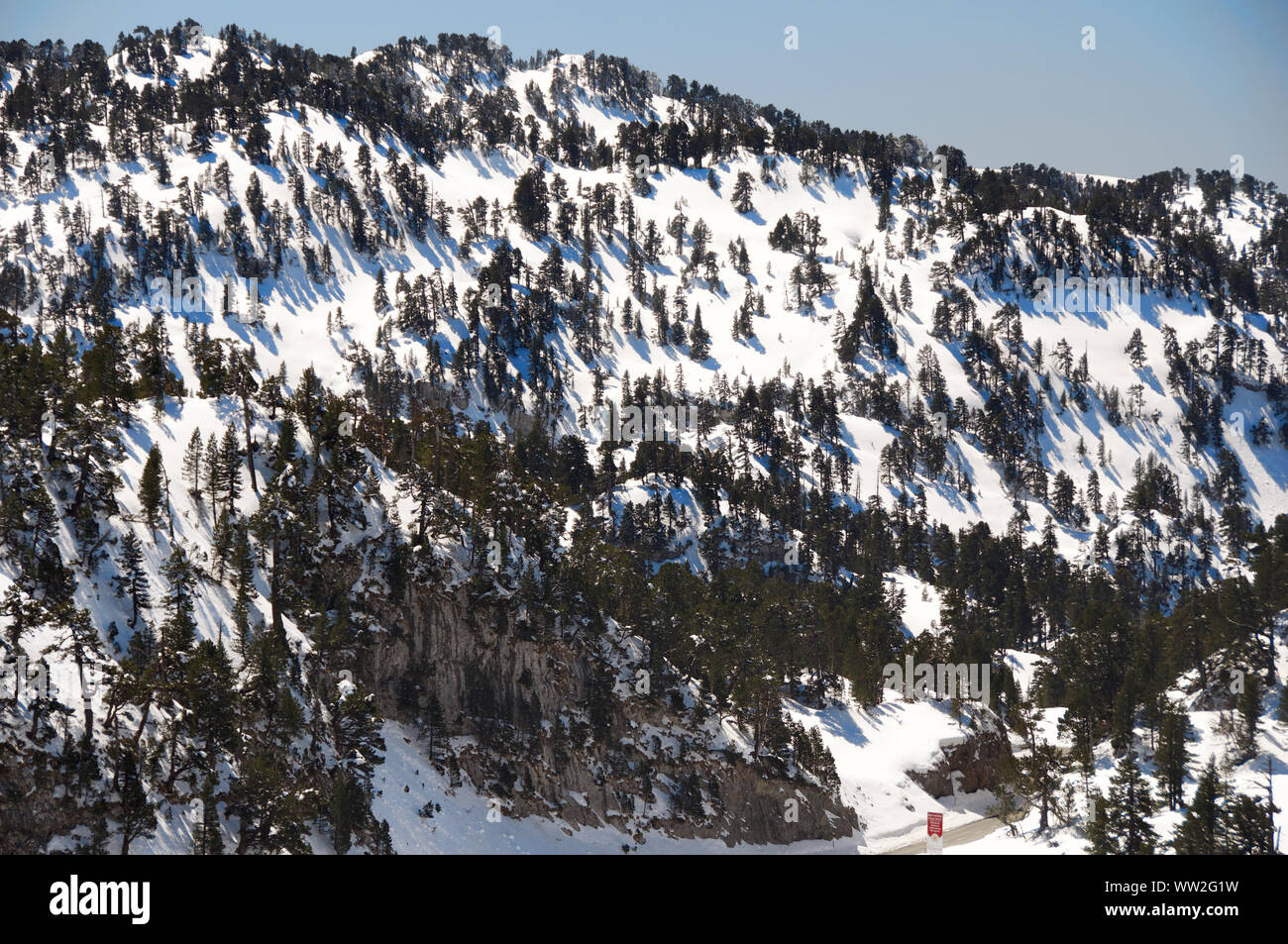 Snowy treelined mountain slopes in the Pyrenees of  Navarra Spain Stock Photo